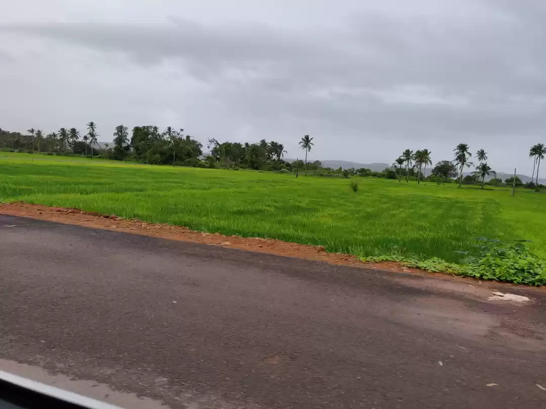 Photo of Lets go Goa ,A detox