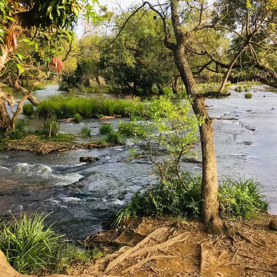 Photo of COORG!!!!A road trip