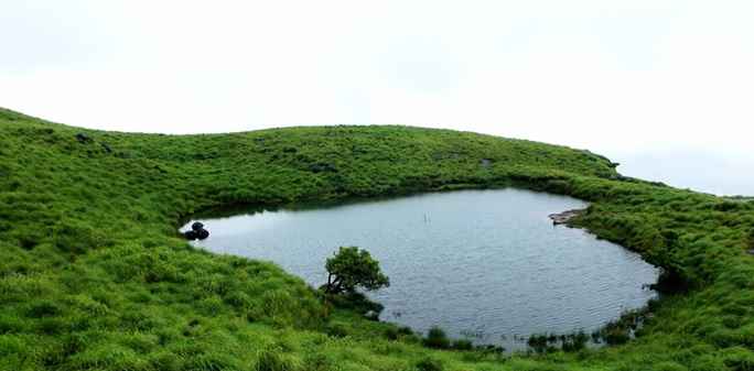 Photo of The Southern Deccan - Wayanad