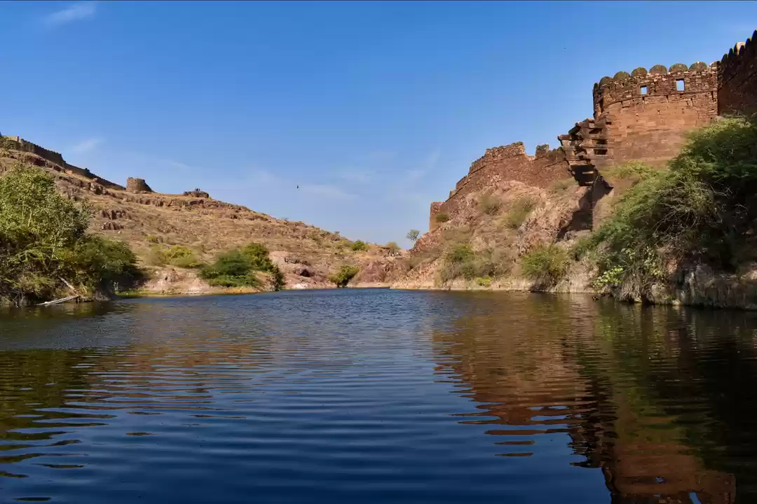 Photo of No blues in the Blue