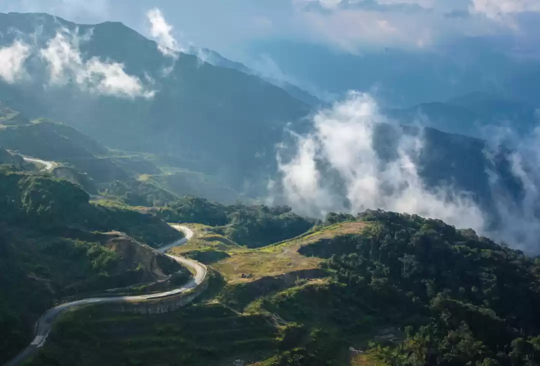 Photo of Nature's canvas