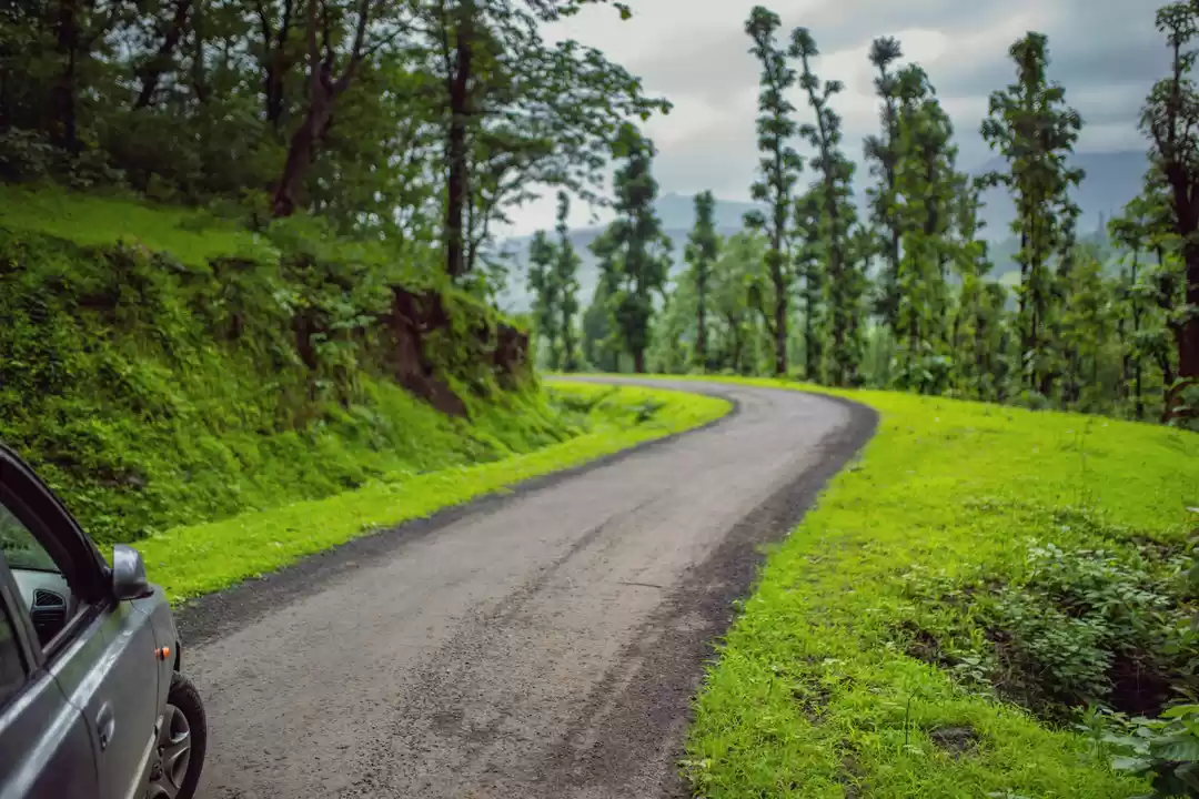 Photo of Into the lushgreen l