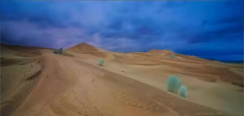 Photo of This Country Has Fin