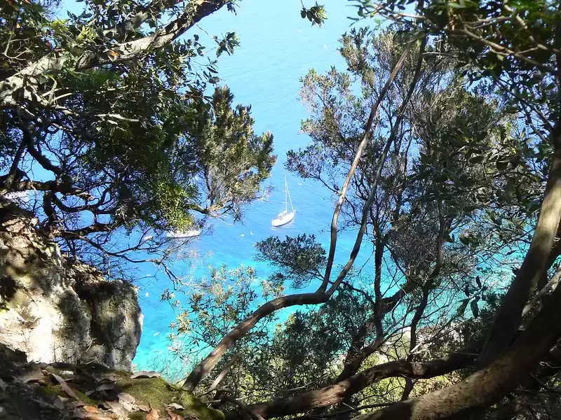 Photo of The Dark Sensual Pas