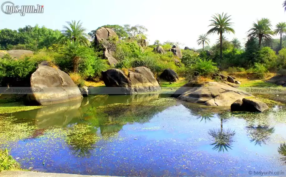 Photo of Night Camping in Ara