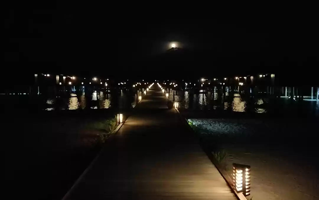 Photo of Maldives-The Sinking