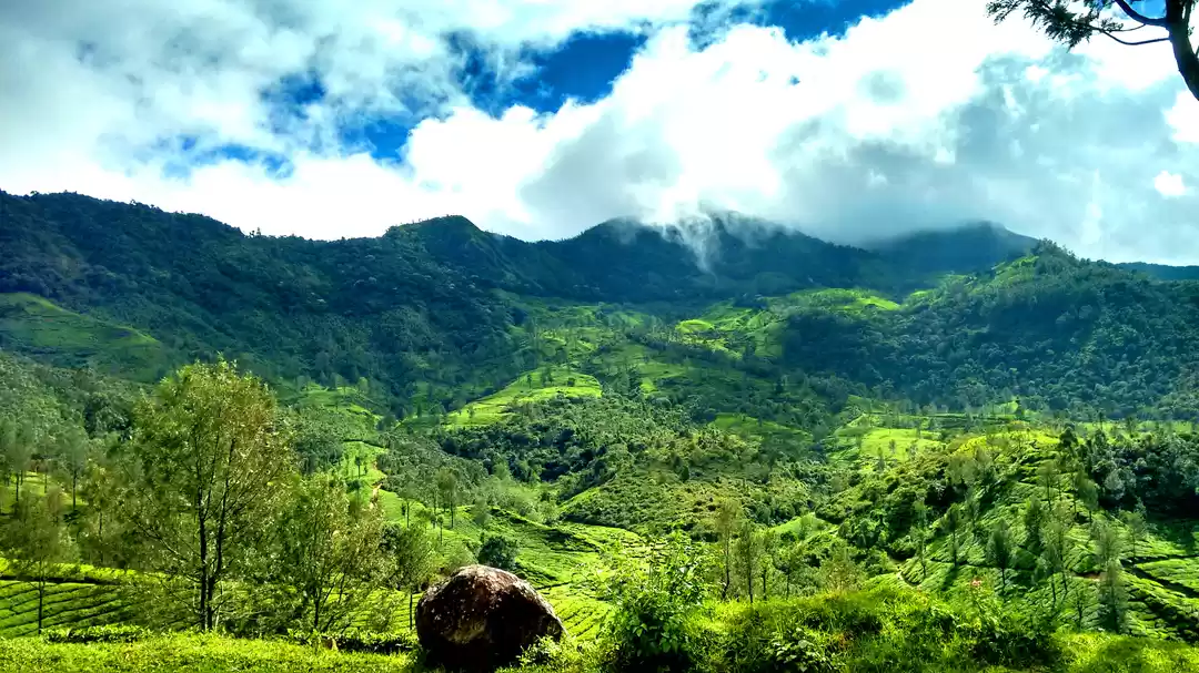 Photo of Munnar Diaries!