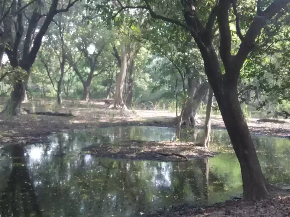 Photo of Bharatpur Bird Sanct