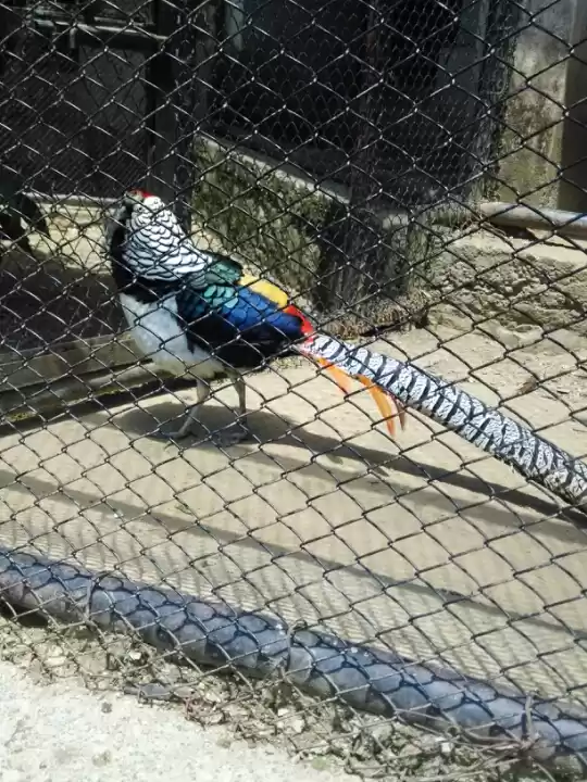 Photo of Nainital Trip with a