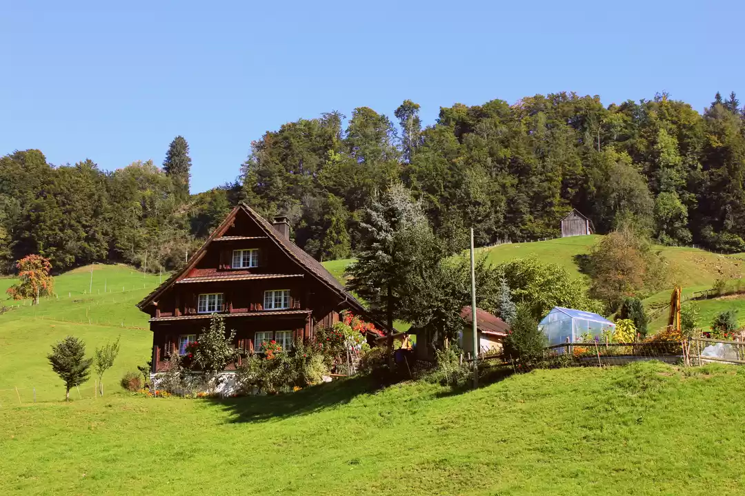 Photo of Frequently Asked Que