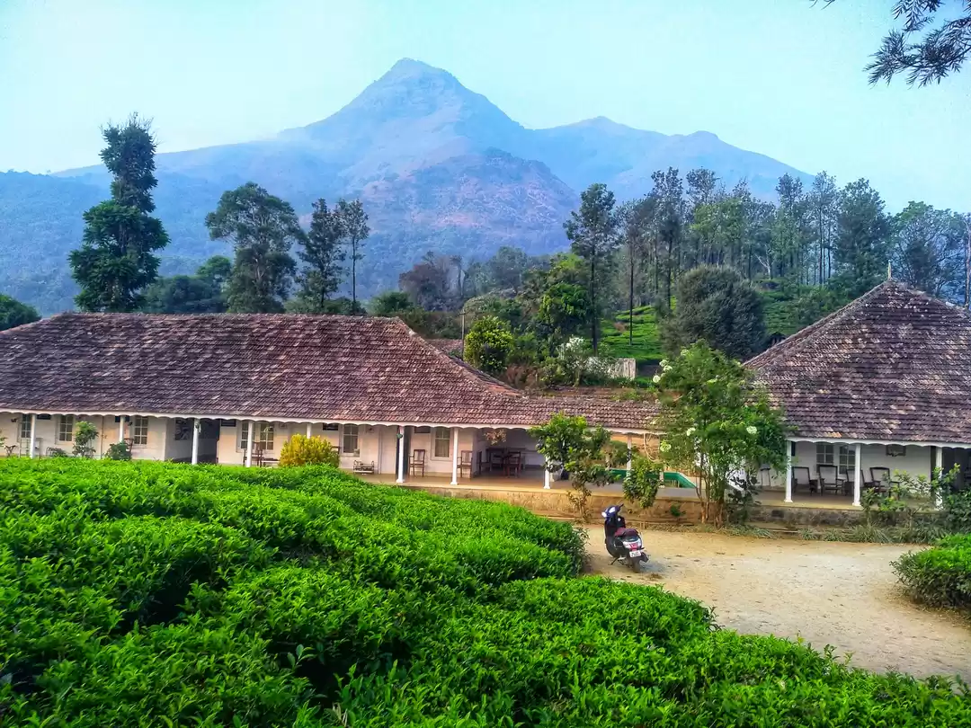 Photo of Zostel Wayanad Trip