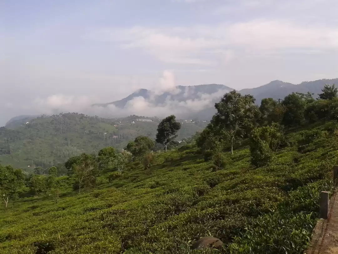 Photo of Kotagiri beckons #of