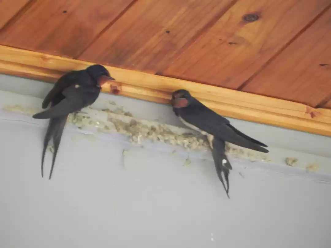 Photo of Live and let live