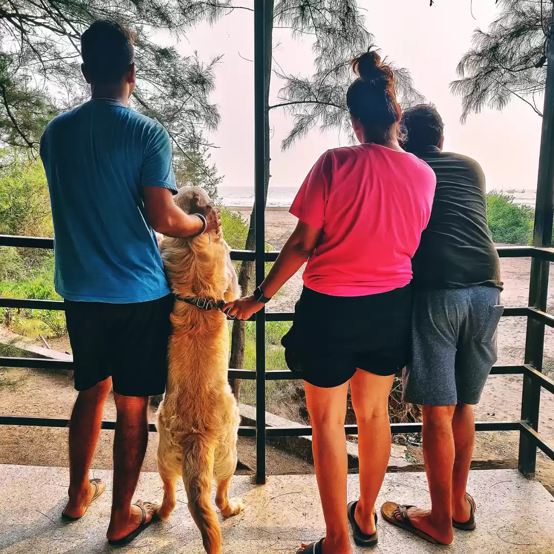 Photo of BEACH BOY- JERRY