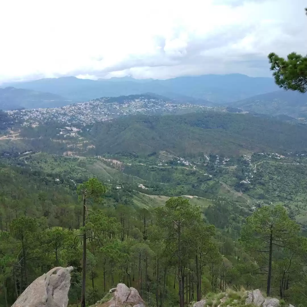 Photo of Binsar in July 2018