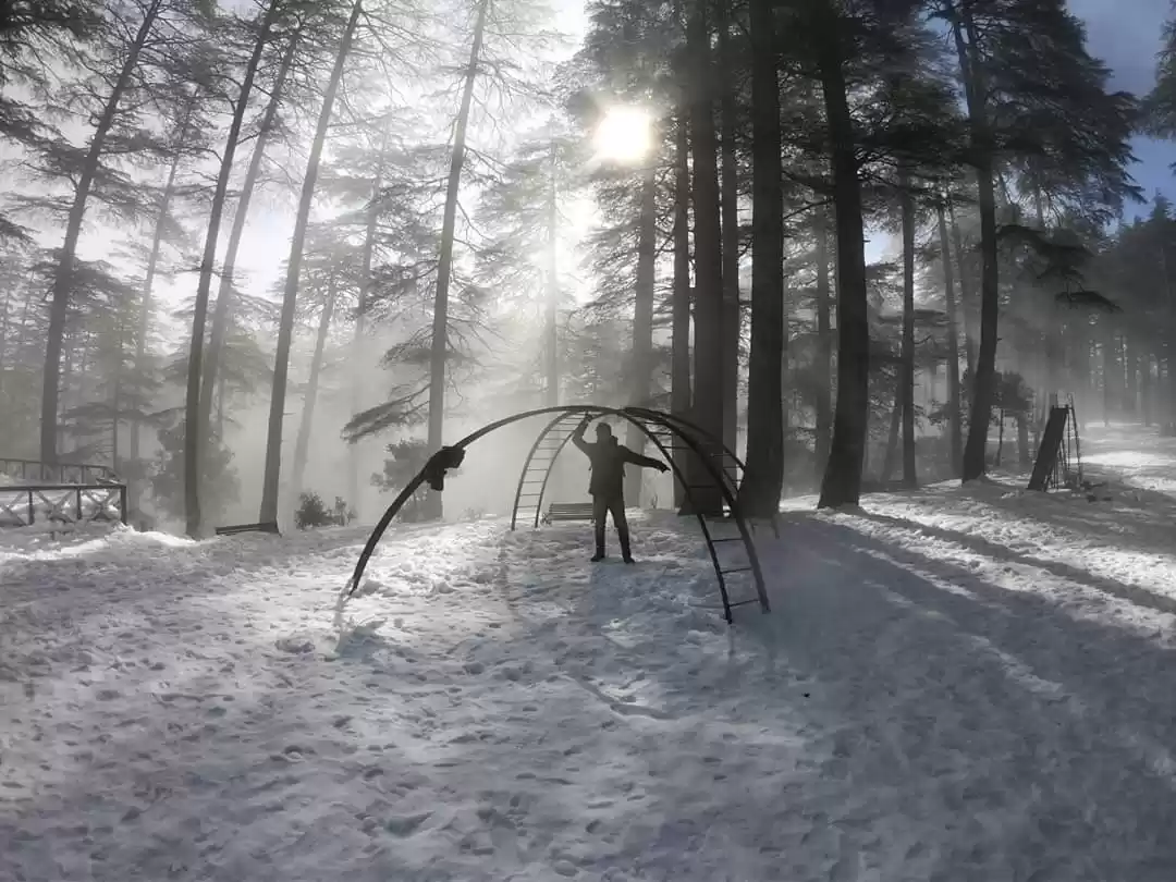 Photo of Beautiful Patnitop |