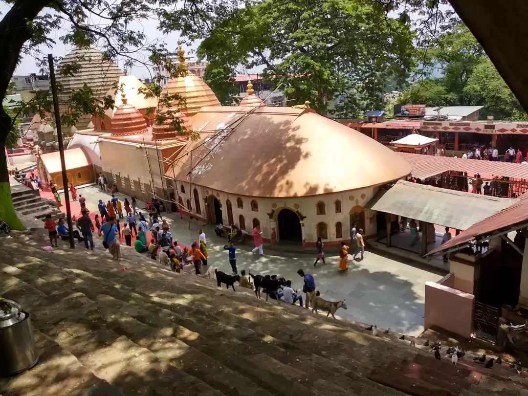 Photo of Guwahati-Cherrapunji