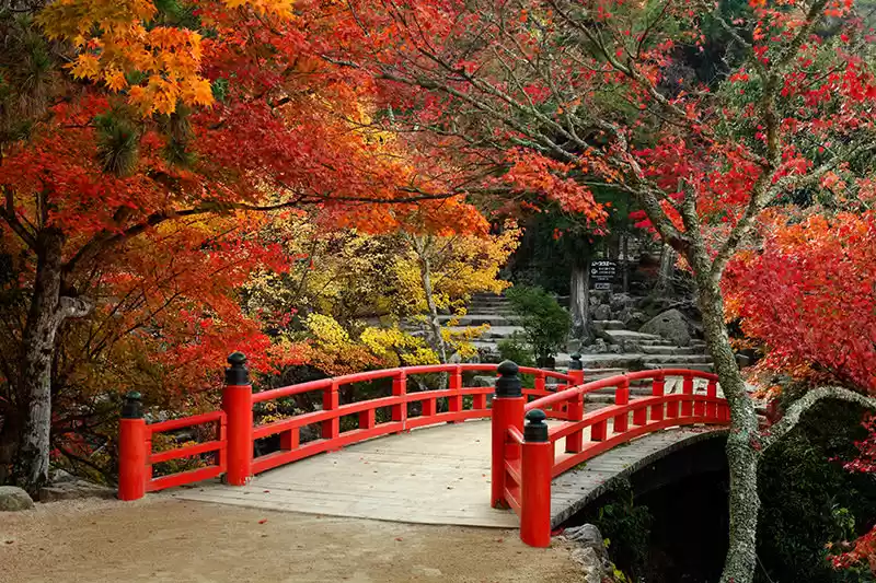 Photo of Best places in Asia