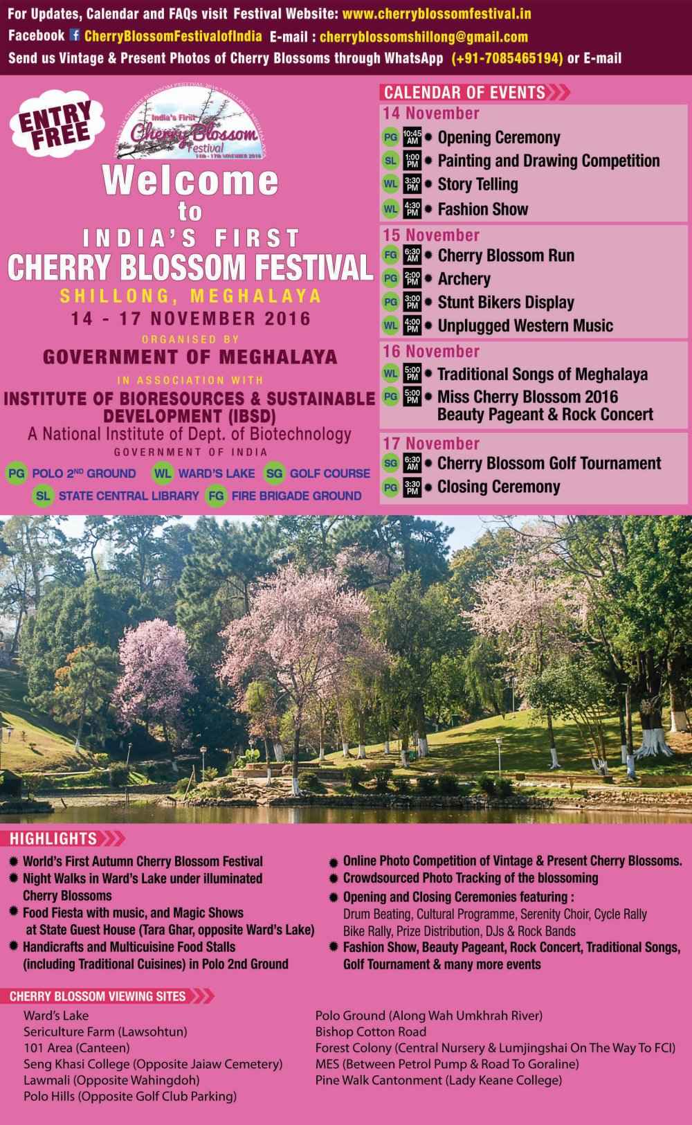 India Hosted Autumn Cherry Blossom Festival In Shillong Thats A Visual Treat To Your Eyes Tripoto india hosted autumn cherry blossom