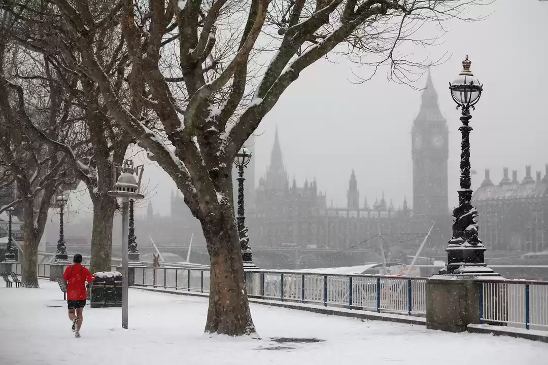 Photo of Beautiful Snowfall p