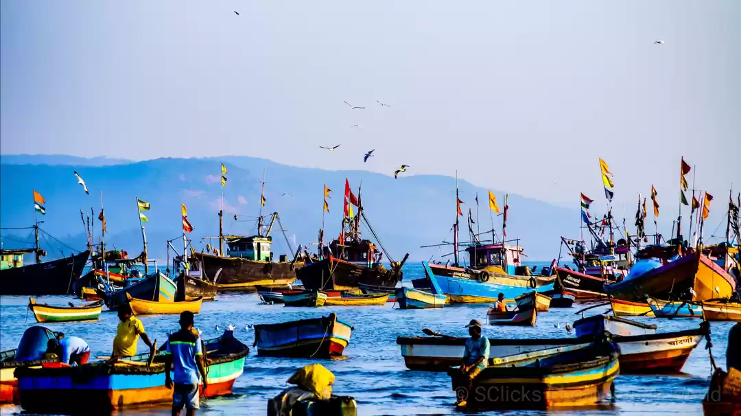 Photo of A Trip To The Fisher