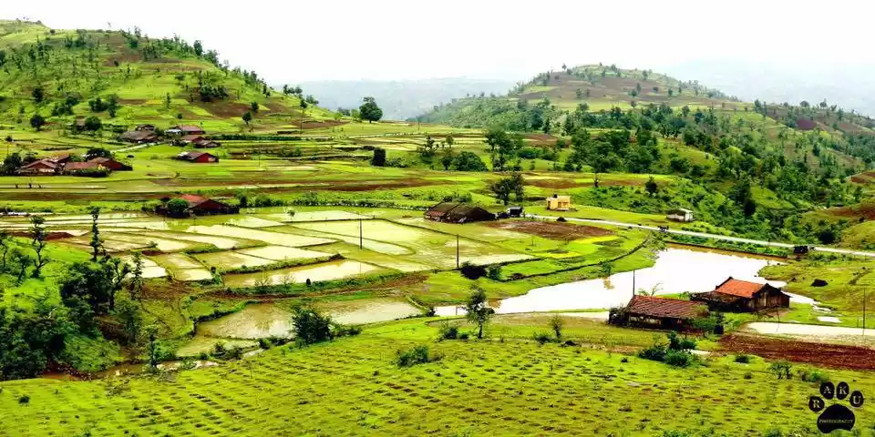 Photo of Dang beauty in monso