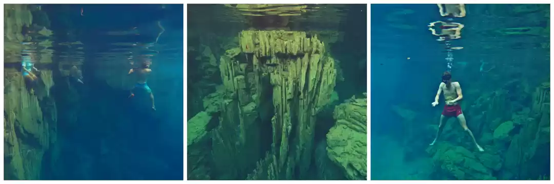 Photo of 70% fresh water 30%