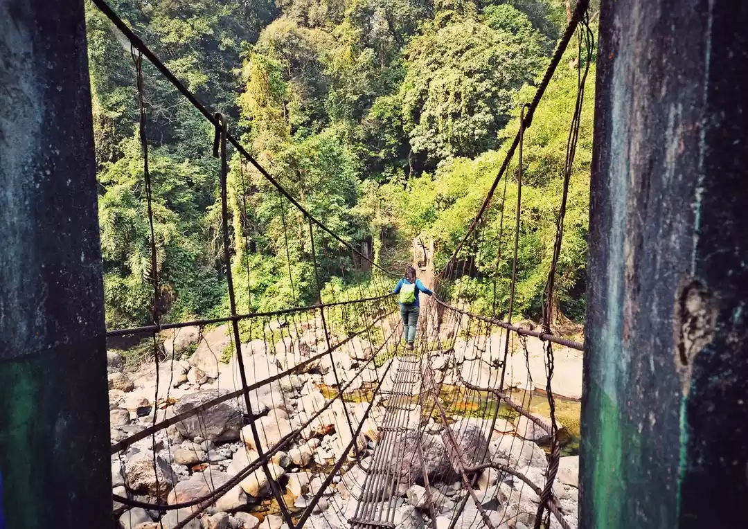 Photo of A Trip to Paradise: