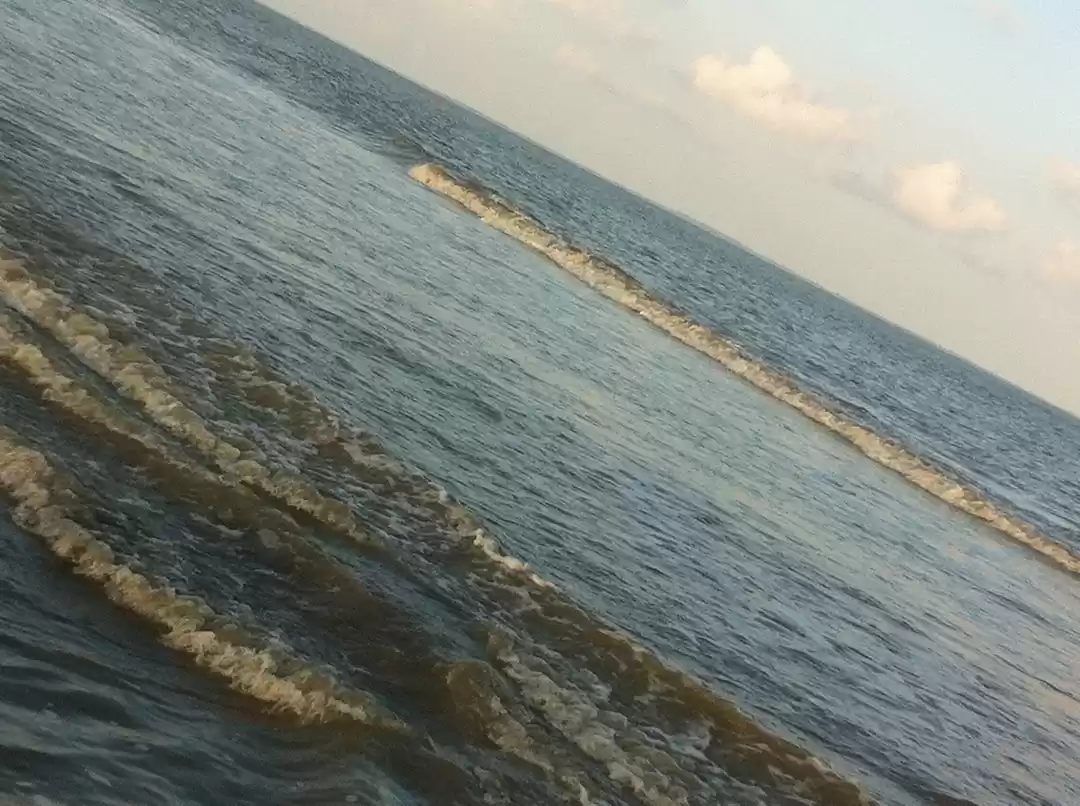 Photo of A Day Trip to Bakkha