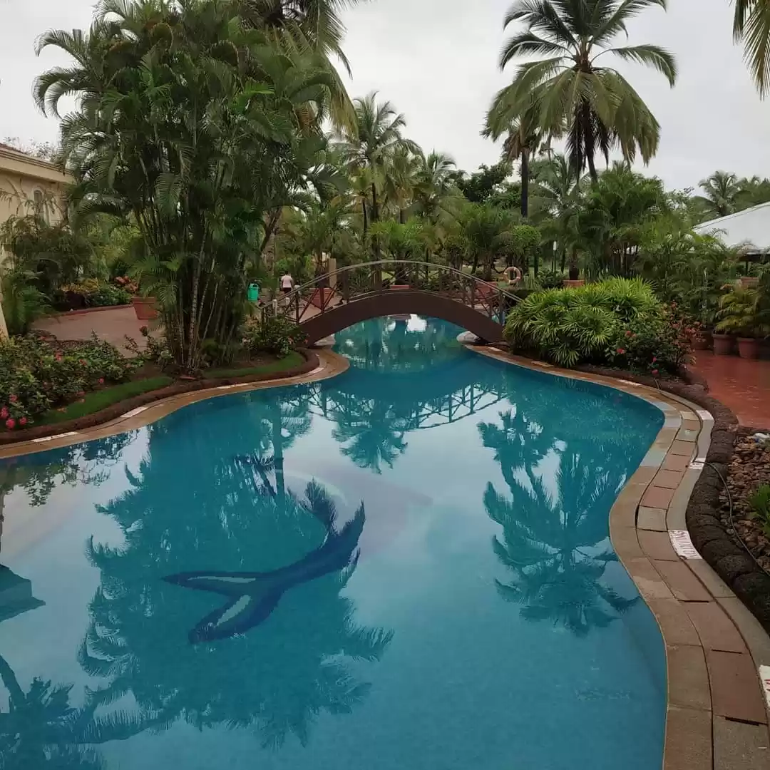 Photo of Goa! The land of bea