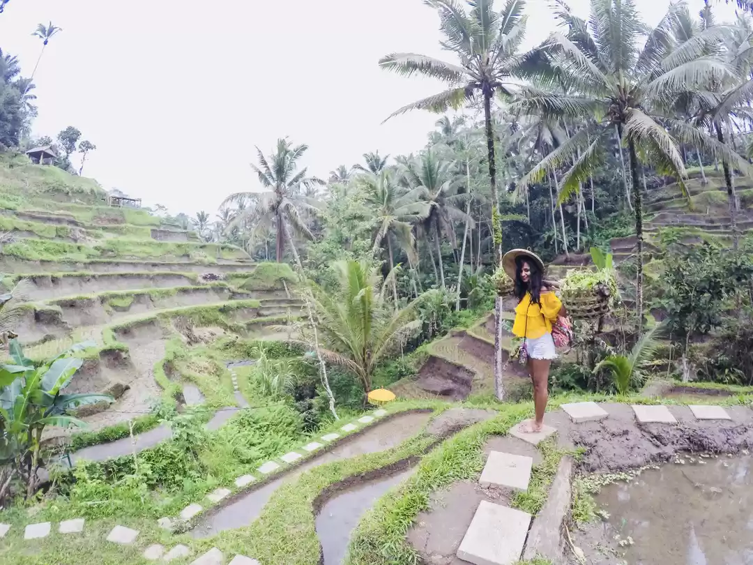 Photo of A countryside advent