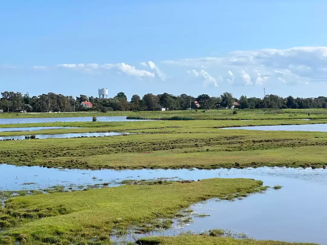 Photo of Skanör, Sweden Trave
