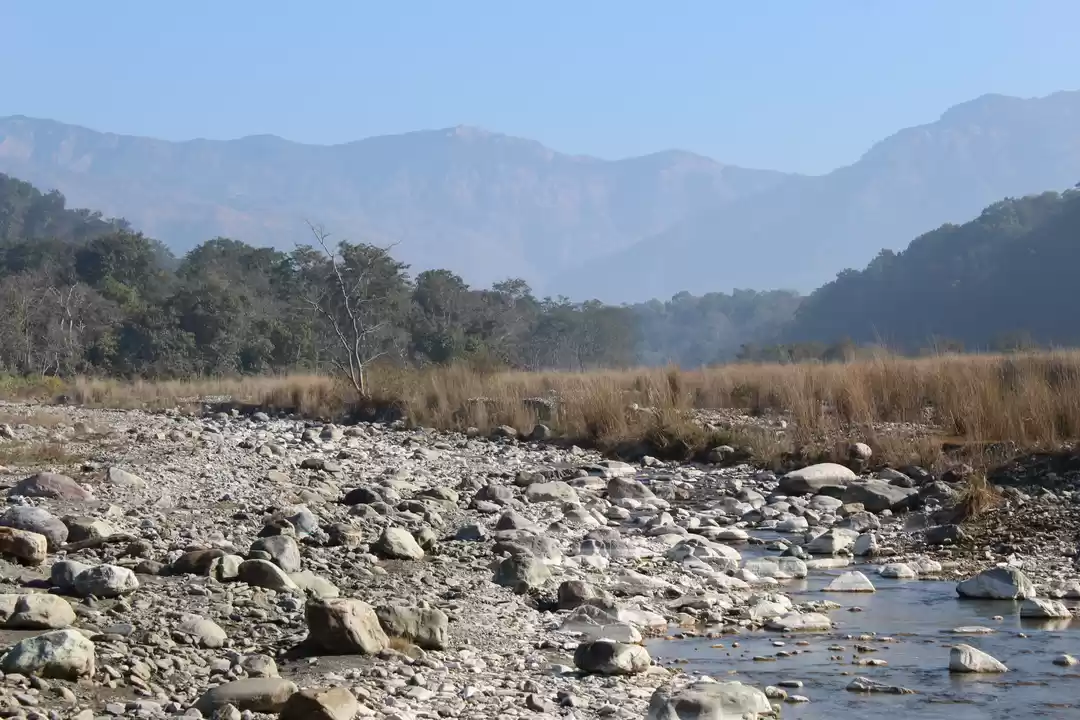 Photo of Jim Corbett Jungle S