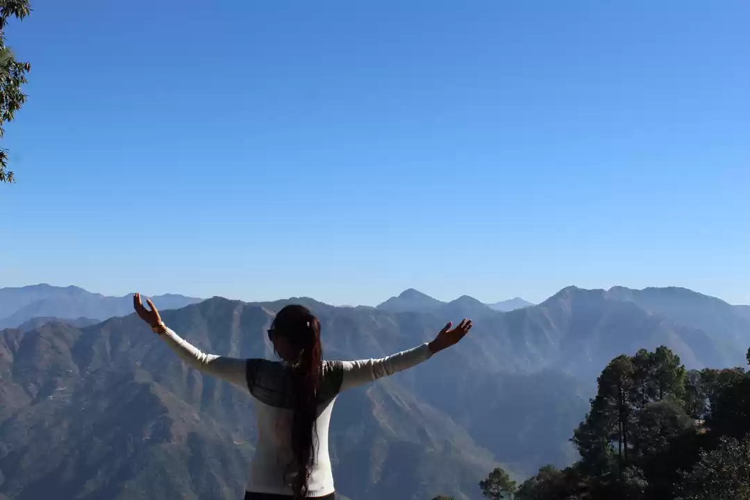 Photo of TIP N TOP / TIFFIN T