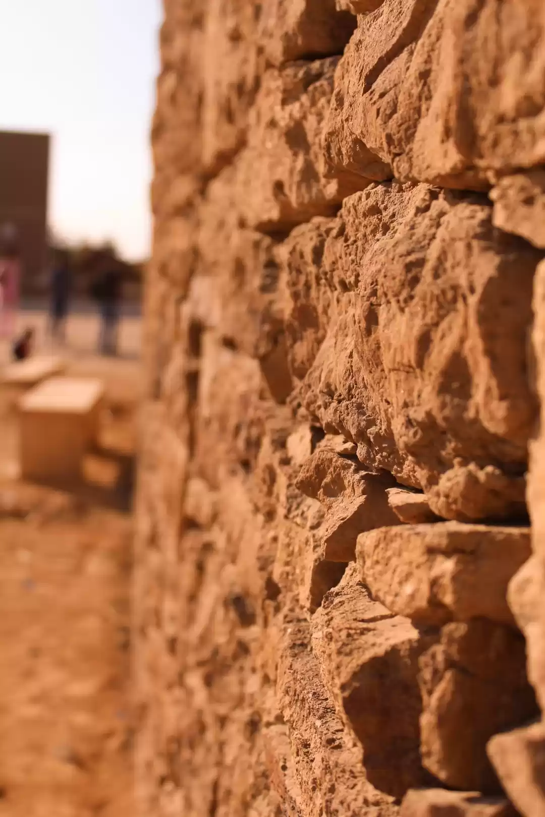 Photo of LOVE OR HORROR - AN