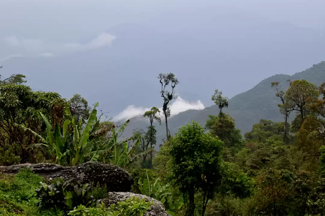 Photo of Faces from Silarygao
