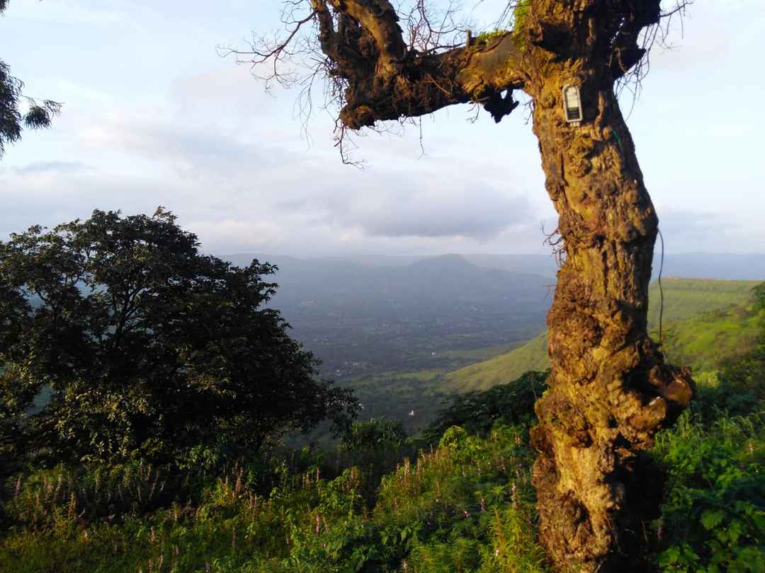 Zostel Panchgani India Ihearthostels Tripoto Visit shiva temple in old mahabaleshwar 2. zostel panchgani india ihearthostels