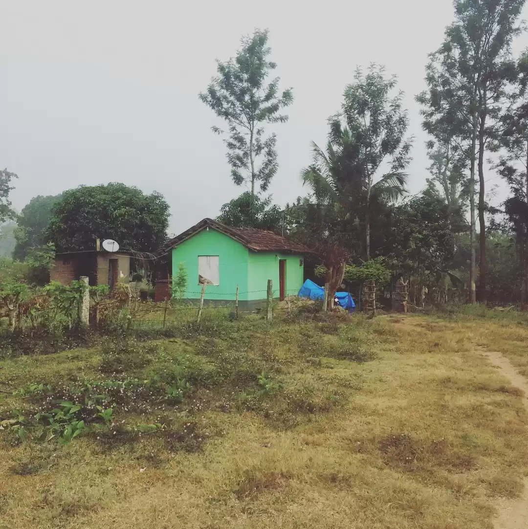 Photo of One among the locals