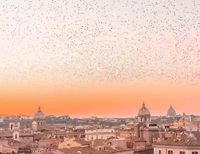 Photo of When in Rome! - Part