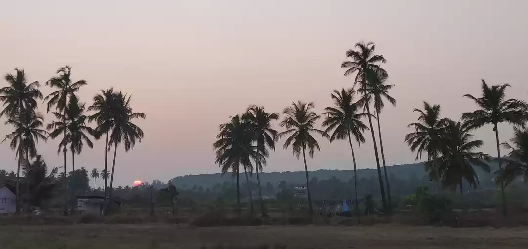 Photo of An unexpectedly perf