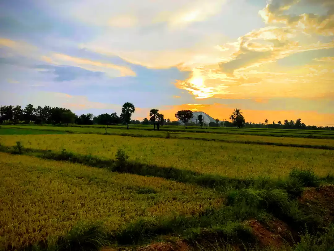 Photo of Puri - Konark - Bhub