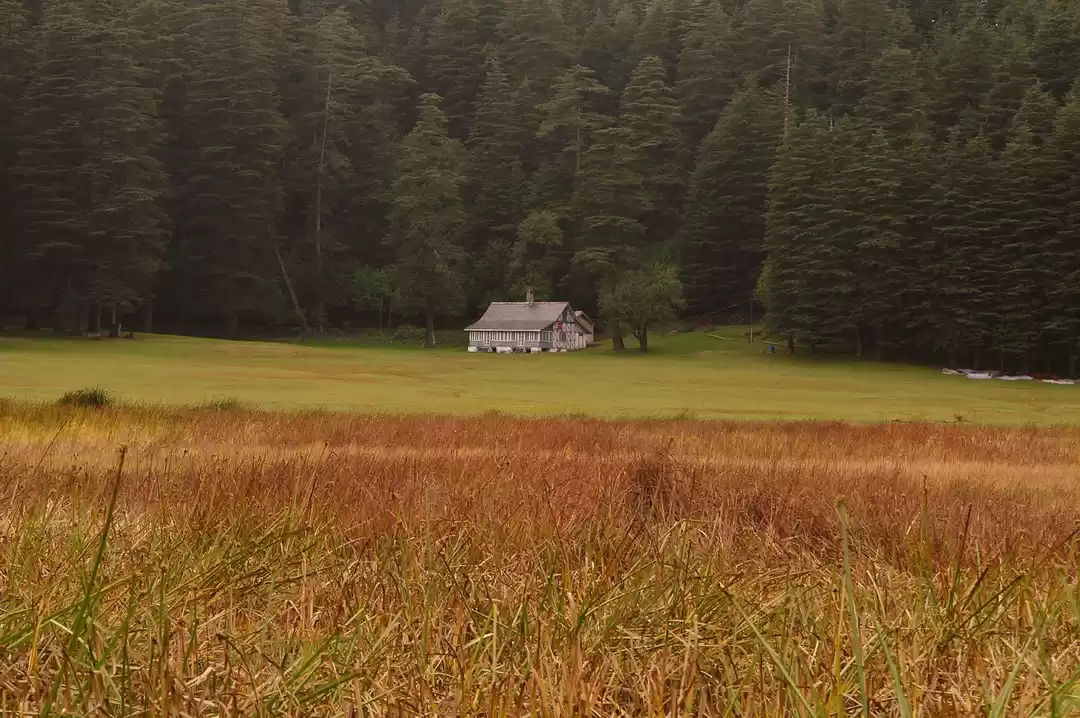 Photo of 8 Things Every Non-n