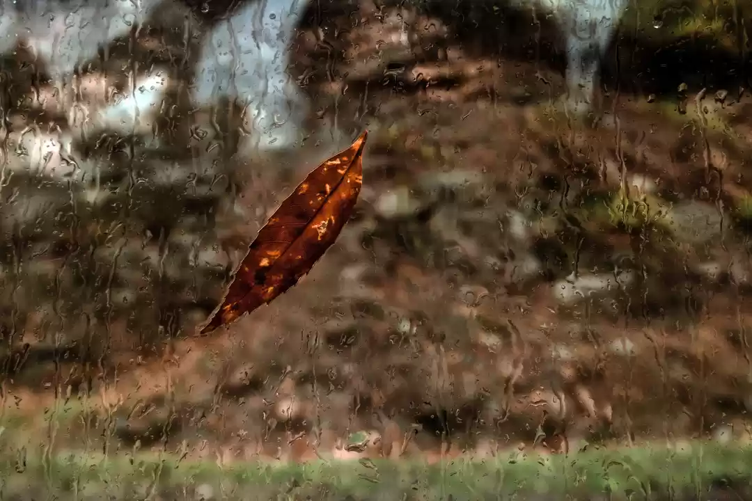 Photo of 12 Stunning Pictures