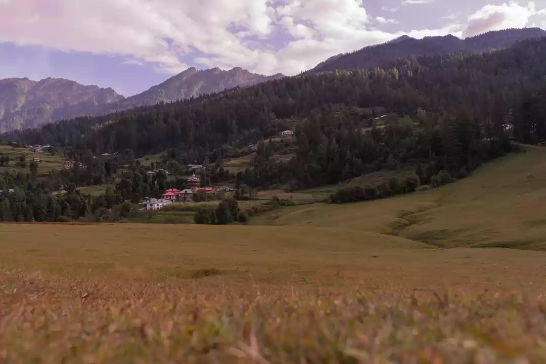 Photo of Done with Dalhousie?