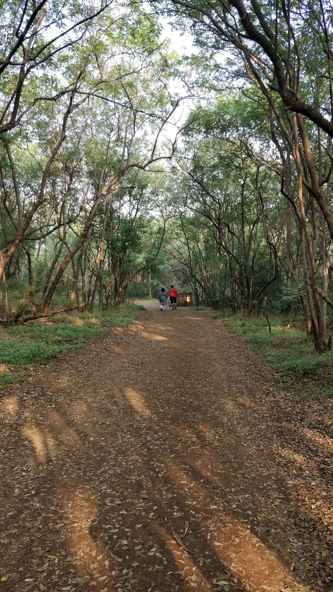 Mesmerizing Natural Beauty In The Midst Of The City Vetal Tekdi Tripoto Gul tekdi branch, market yard, gultekdi, pune, 411037. midst of the city vetal tekdi tripoto