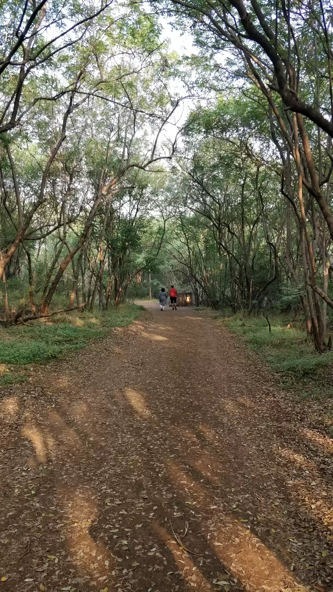 Photo of Mesmerizing Natural 