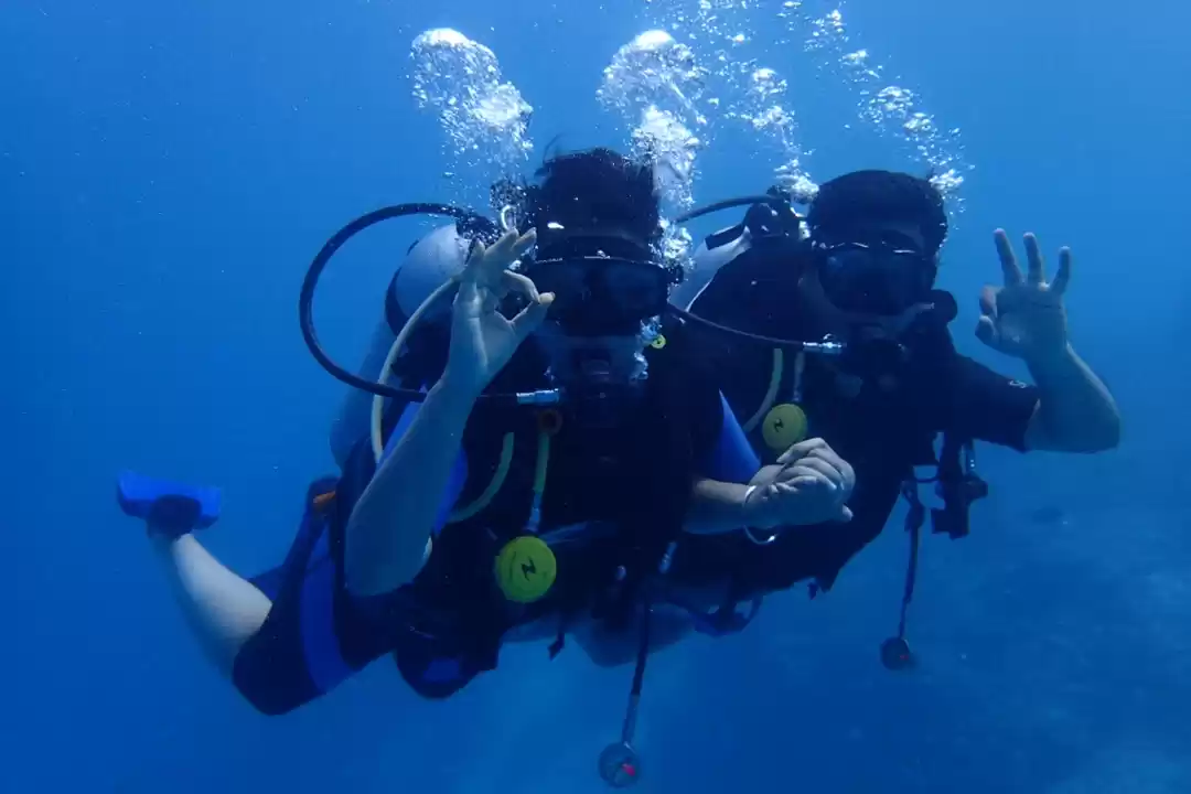 Photo of We vowed to travel t