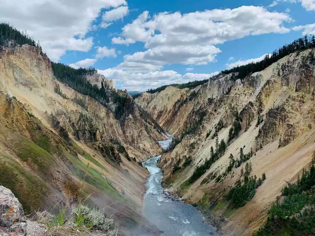 Photo of Geysers and Wildlife
