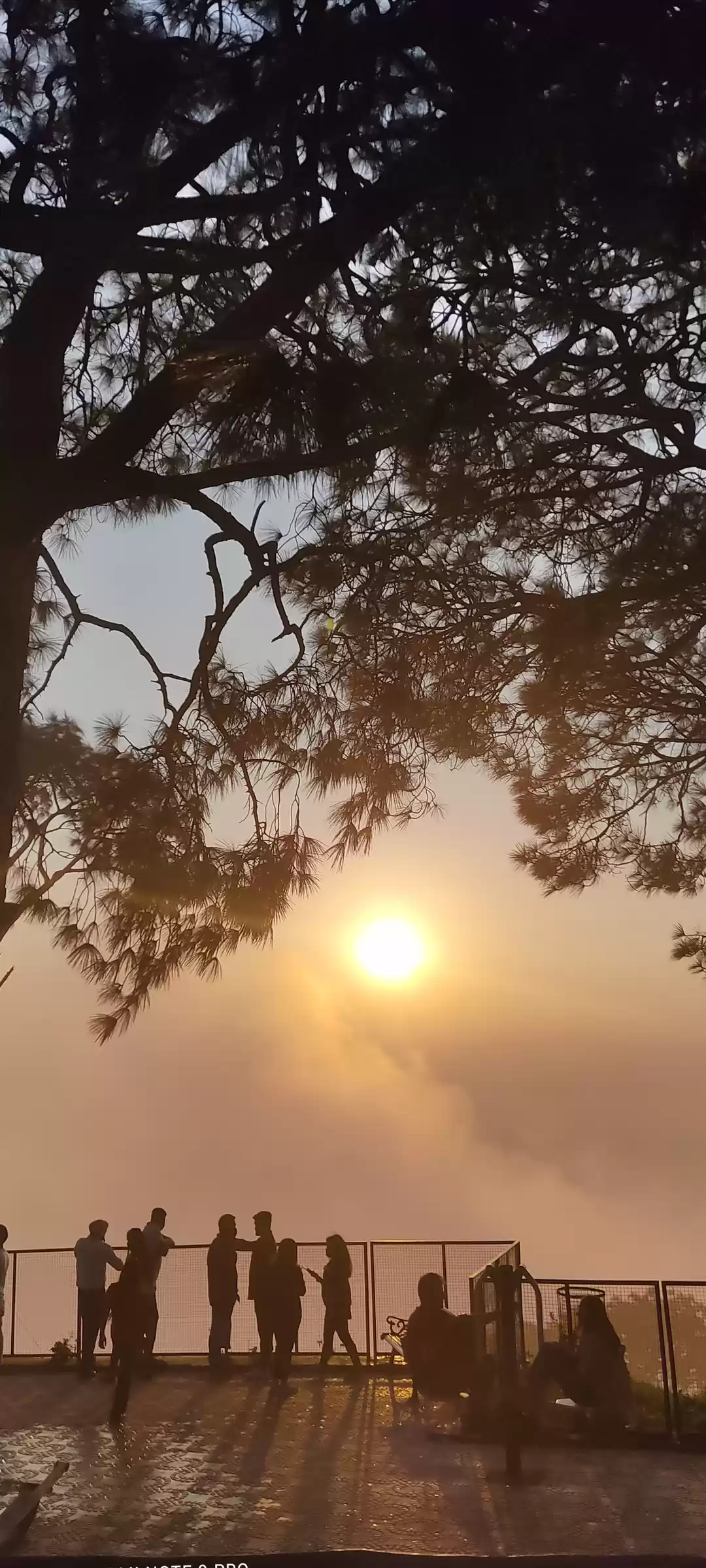 Photo of Visiting Kasauli? 