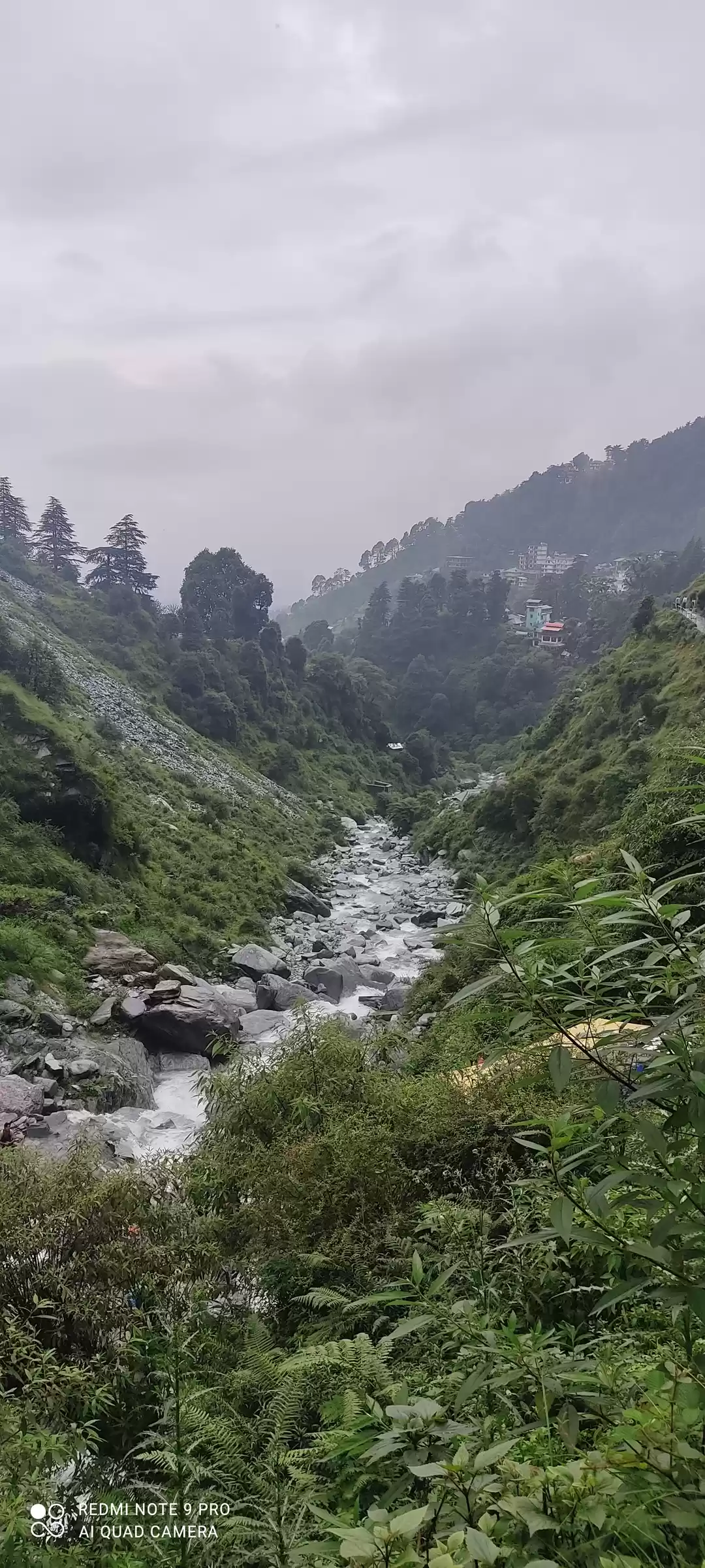 Photo of Looking for a good w